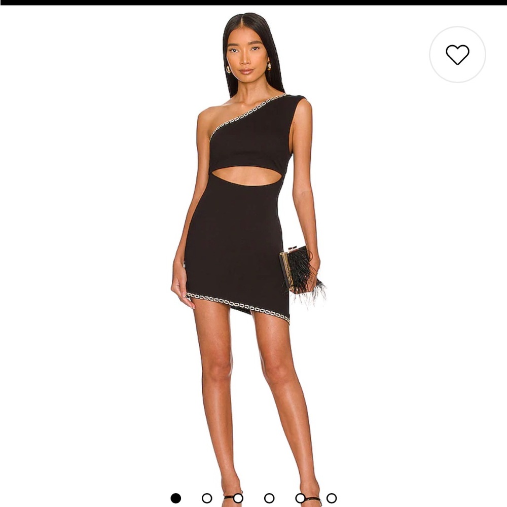 Revolve savannah mini dress